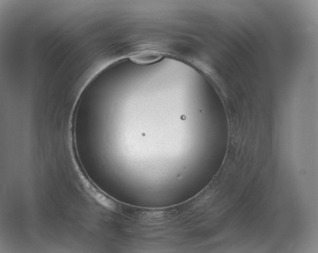 X0000062671431200512281727