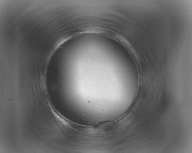 X0000062671433200512281727