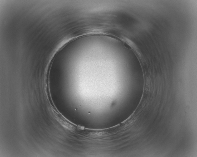 X0000062671435200512281727