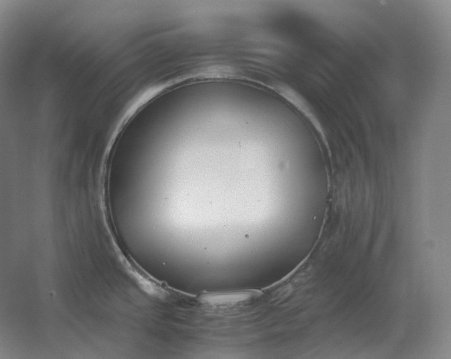 X0000062671437200512281727