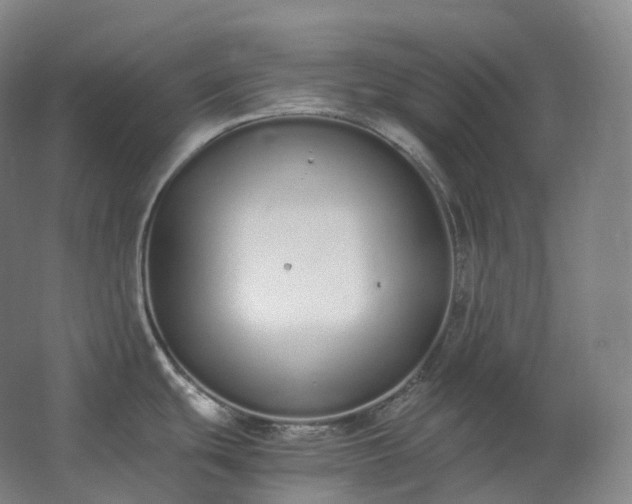 X0000062671439200512281727