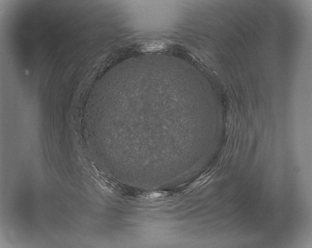 X0000062671441200512281727