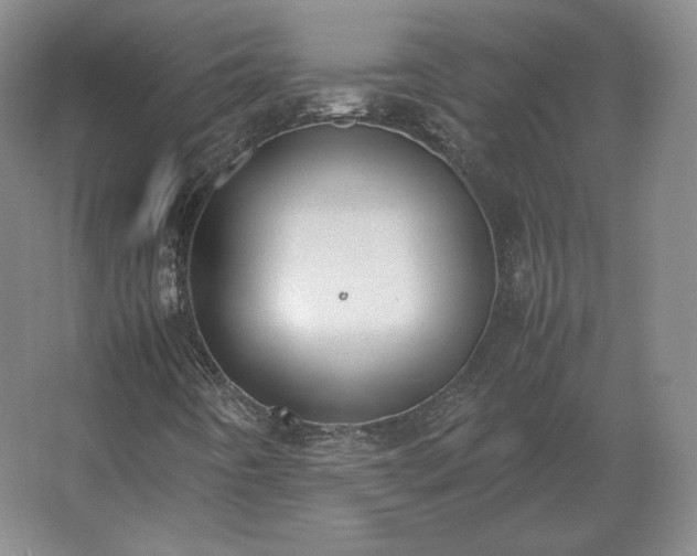 X0000062671442200512281727