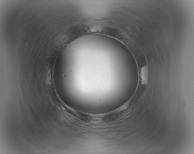 X0000062671443200512281727