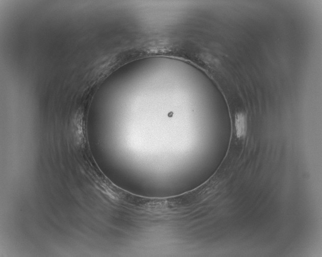 X0000062671444200512281727