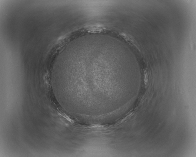 X0000062671445200512281727