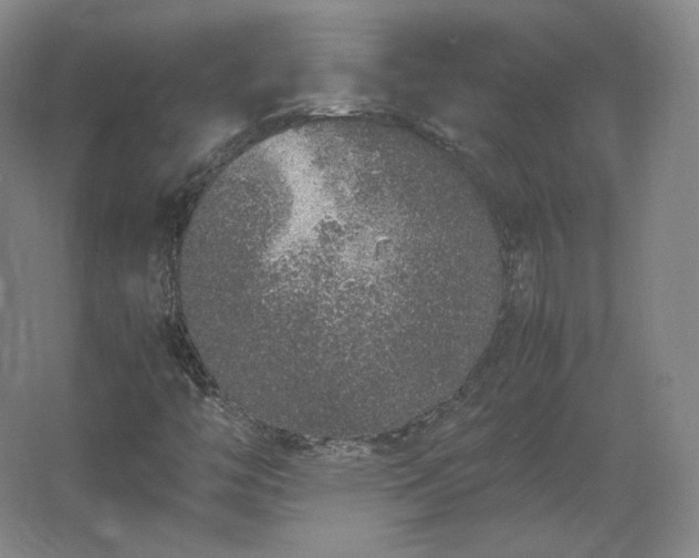 X0000062671446200512281727