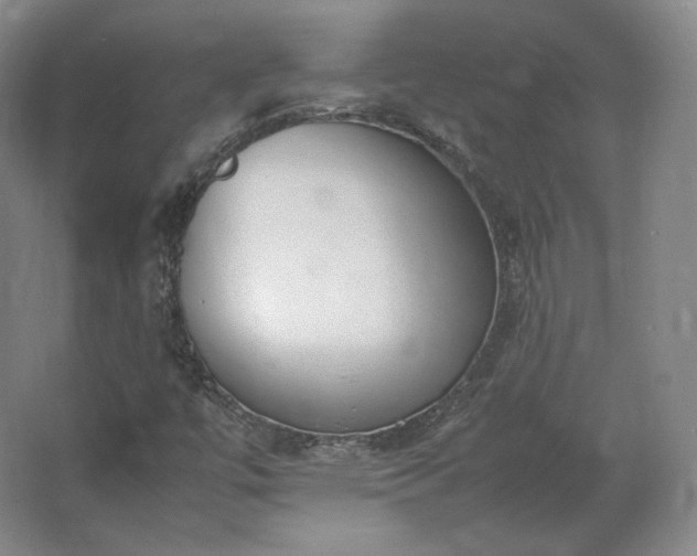 X0000062671447200512281727