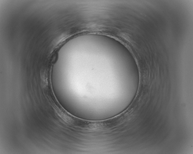 X0000062671451200512281726