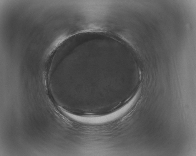 X0000062671455200512281726