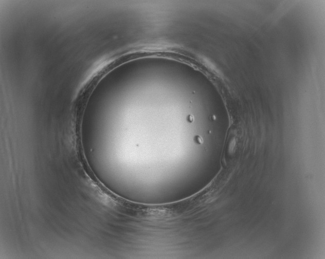 X0000062671456200512281726