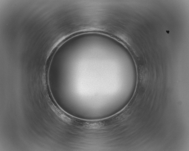 X0000062671460200512281726