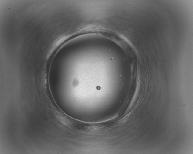 X0000062671461200512281726