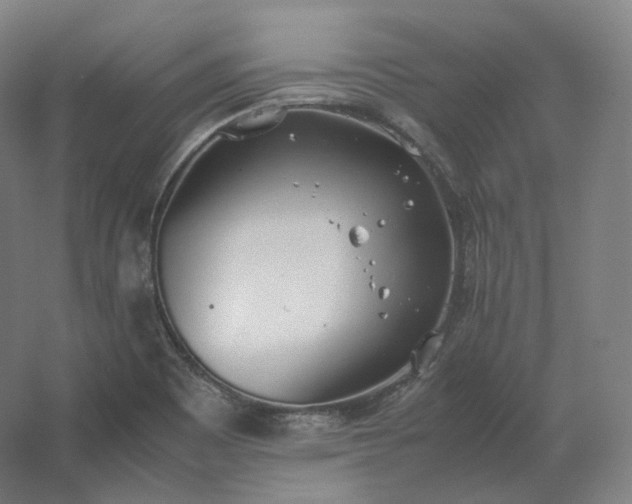 X0000062671465200512281726