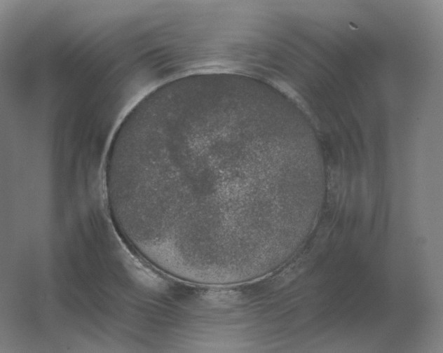 X0000062671466200512281726