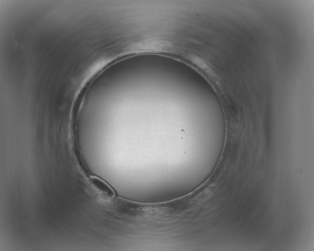 X0000062671469200512281726