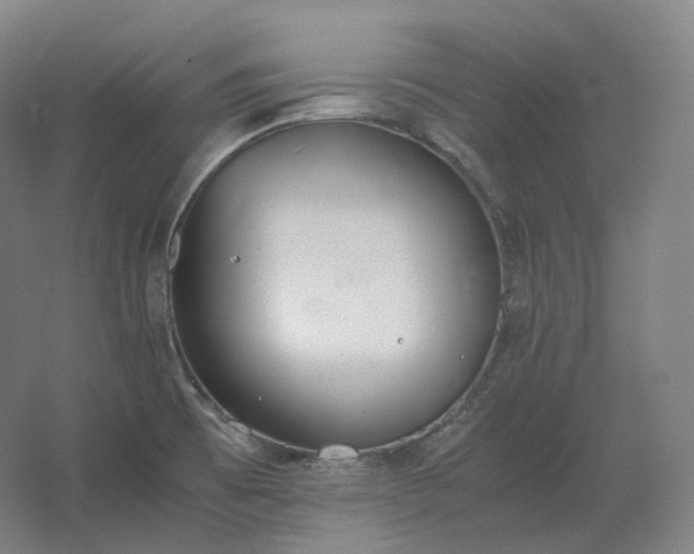 X0000062671473200512281726