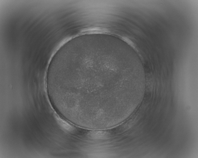 X0000062671474200512281726