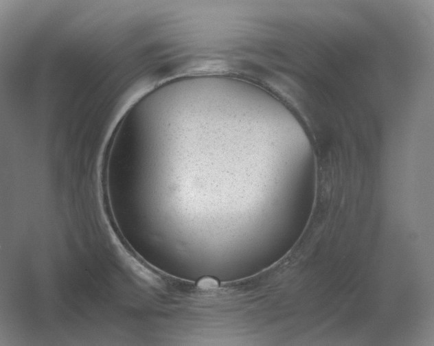 X0000062671475200512281726