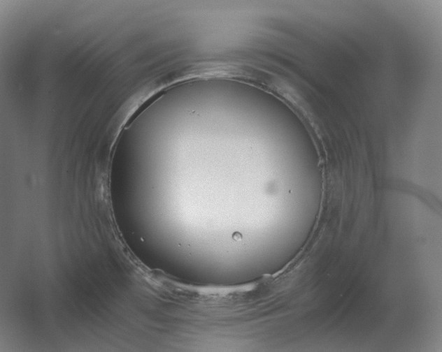 X0000062671481200512281726