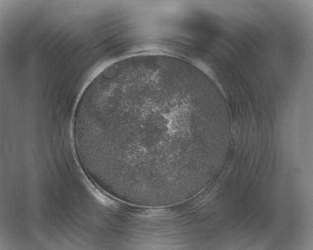 X0000062671482200512281726