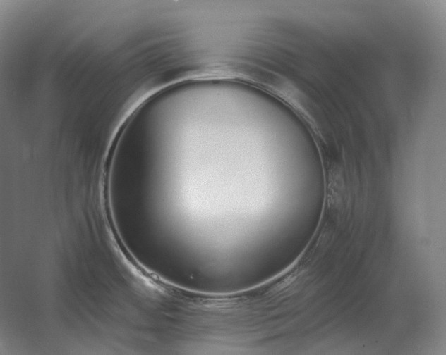 X0000062671484200512281726