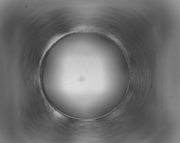 X0000062671486200512281726