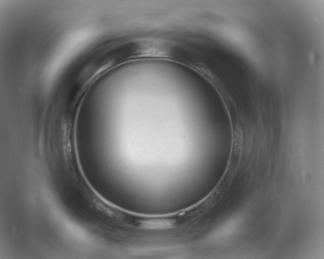 X0000062671487200512281726