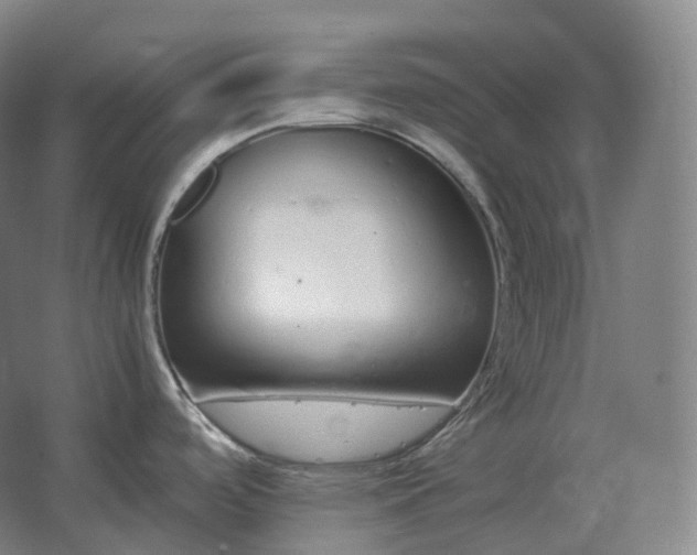 X0000062671488200512281726