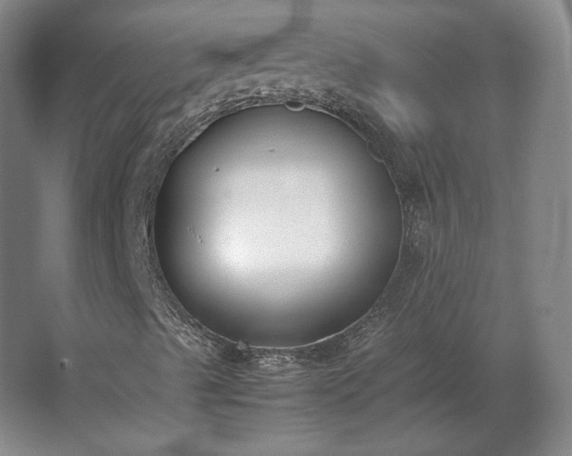 X0000062671489200512281725