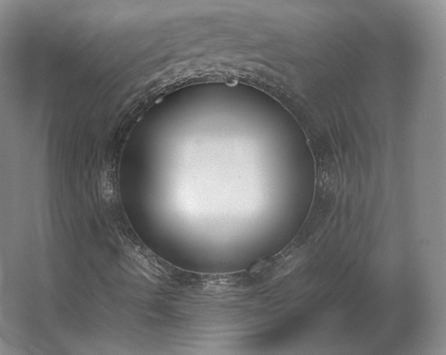 X0000062671490200512281725