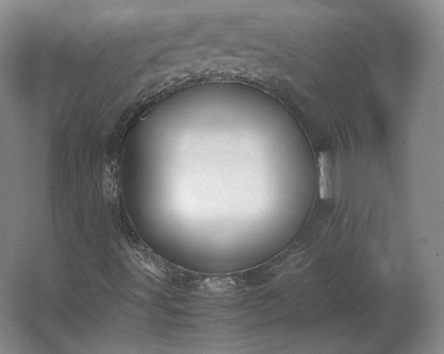 X0000062671491200512281725