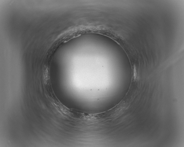 X0000062671492200512281725