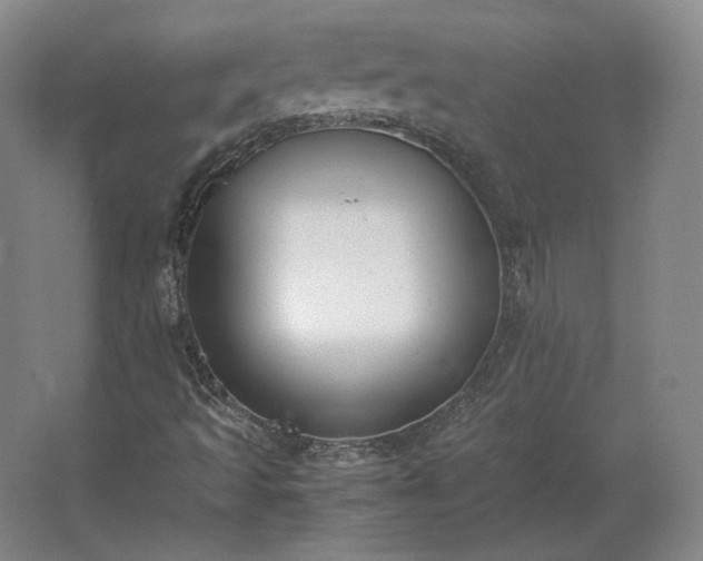 X0000062671493200512281725