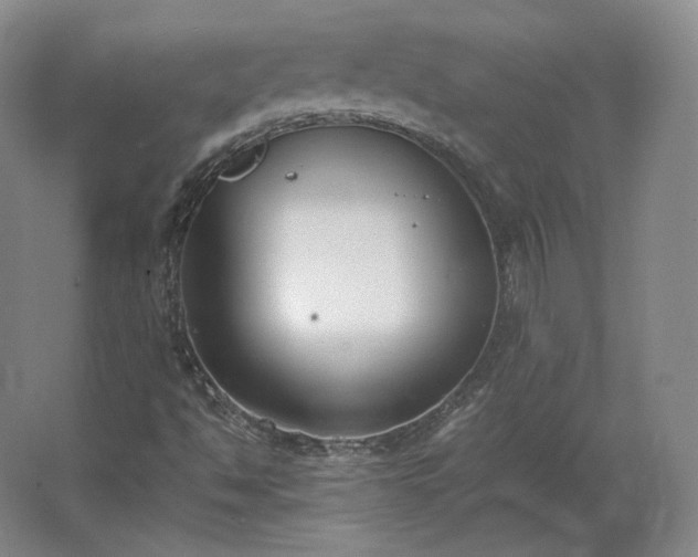 X0000062671494200512281725