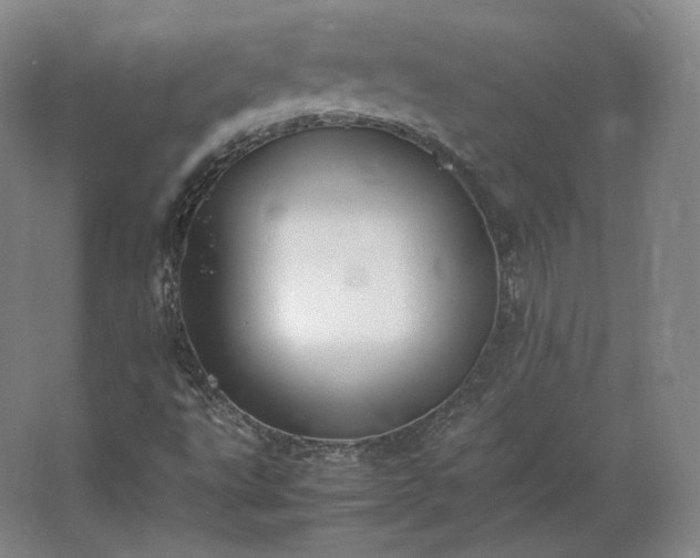 X0000062671495200512281725