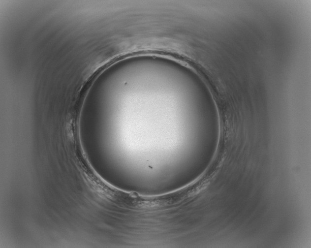 X0000062671497200512281725