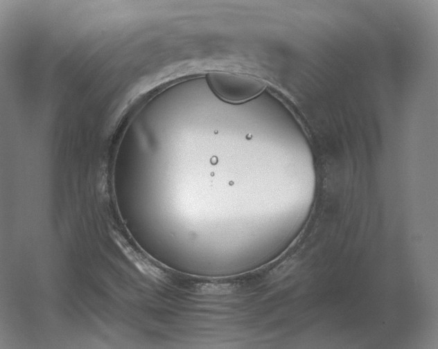 X0000062671499200512281725