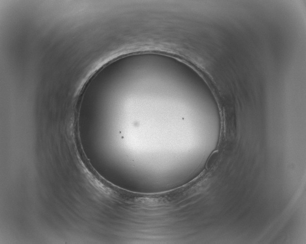 X0000062671500200512281725