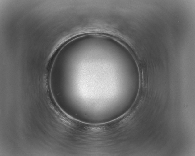 X0000062671501200512281725