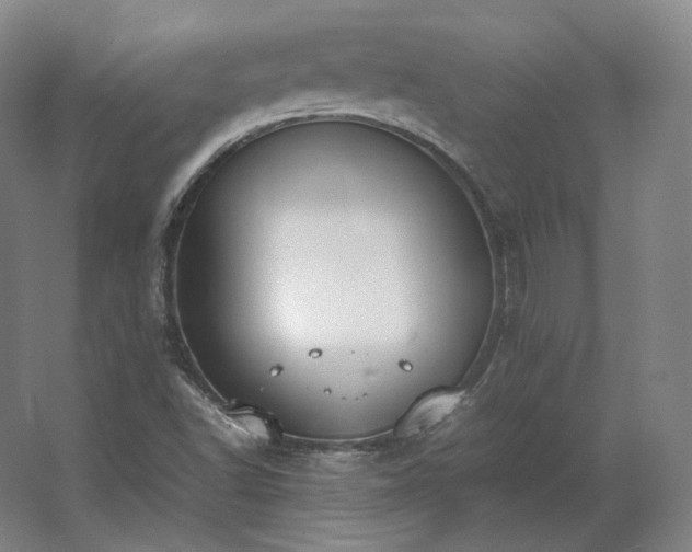 X0000062671502200512281725