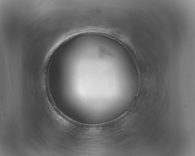 X0000062671504200512281725