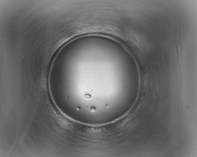 X0000062671505200512281725