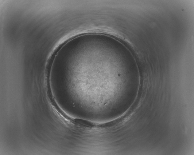 X0000062671506200512281725