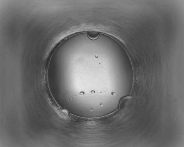 X0000062671507200512281725