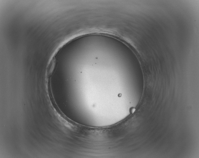 X0000062671508200512281725