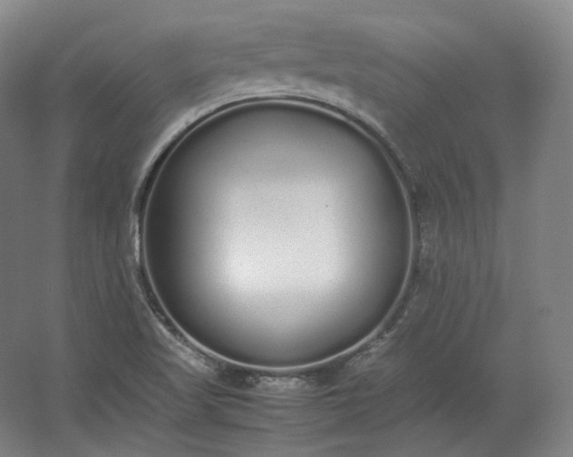 X0000062671509200512281725