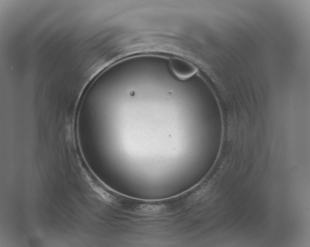 X0000062671513200512281725