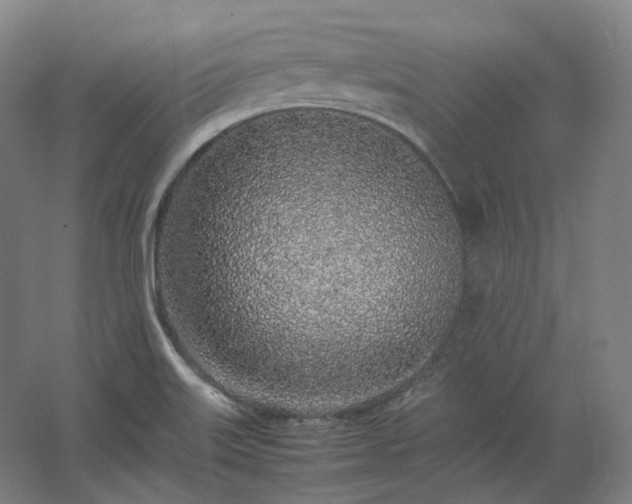 X0000062671515200512281725