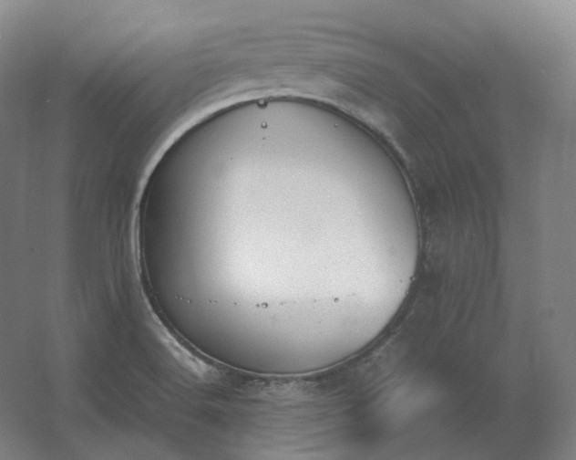 X0000062671516200512281725